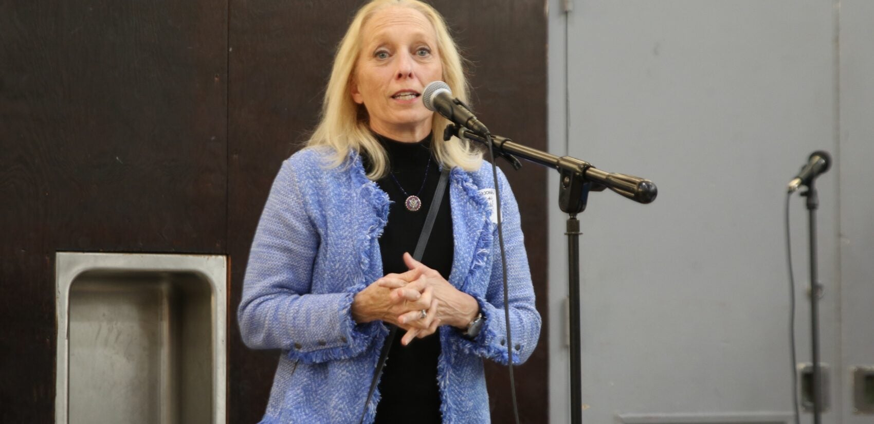 Mary Gay Scanlon speaks into a microphone