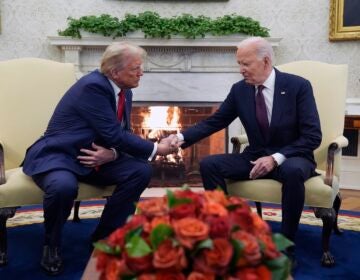 President Joe Biden meets with President-elect Donald Trump