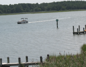 a boat driving in the bay