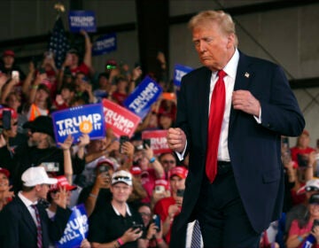 Donald Trump stands in front of a crowd