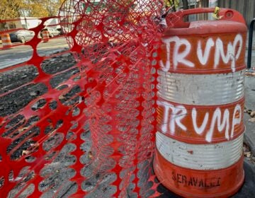 Spray painted with Trump