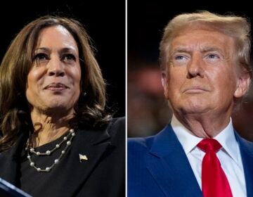 This combination of file photos shows Democratic presidential nominee Vice President Kamala Harris, left, speaking at a campaign rally Erie, Pa., on Oct. 14, 2024, and Republican presidential nominee former President Donald Trump speaking a campaign rally in Uniondale, N.Y., on Sept.18, 2024.