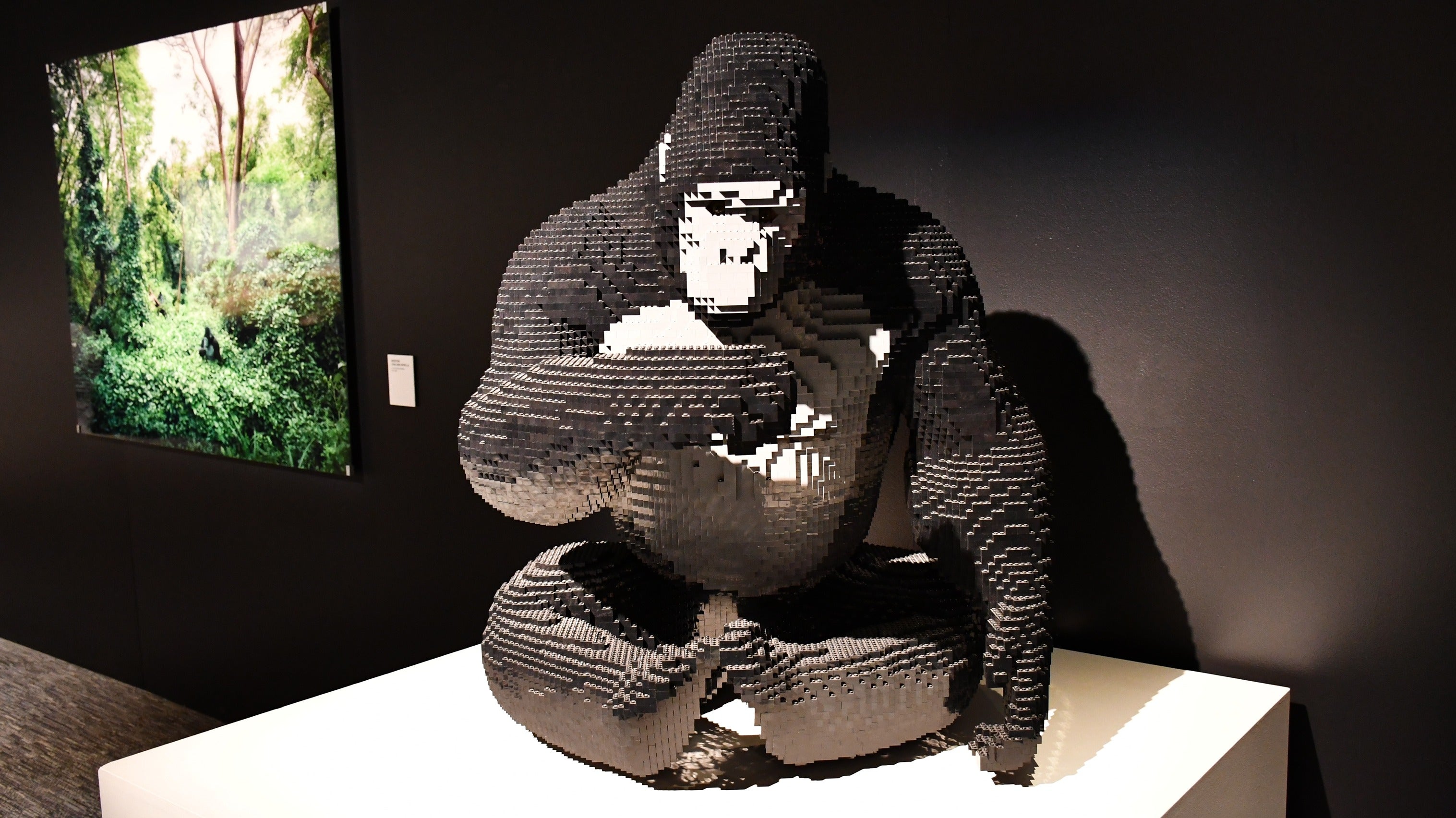 Art of the Brick' LEGO exhibit closing at Franklin Institute - WHYY
