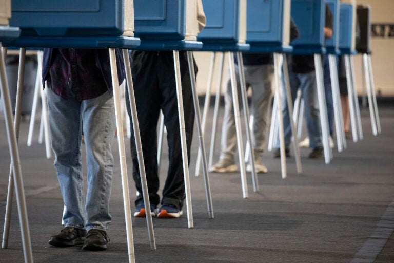 a line of voters voting