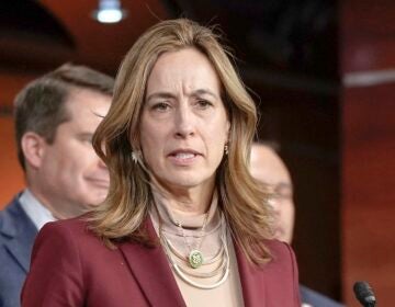 Rep. Mikie Sherrill, D-N.J., speaks during a news conference on Capitol Hill, Feb. 13, 2024, in Washington.