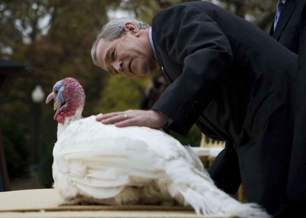 George W. Bush pets turkey