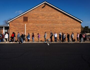 People on line at polling place