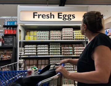 Woman shopping in a supermarket