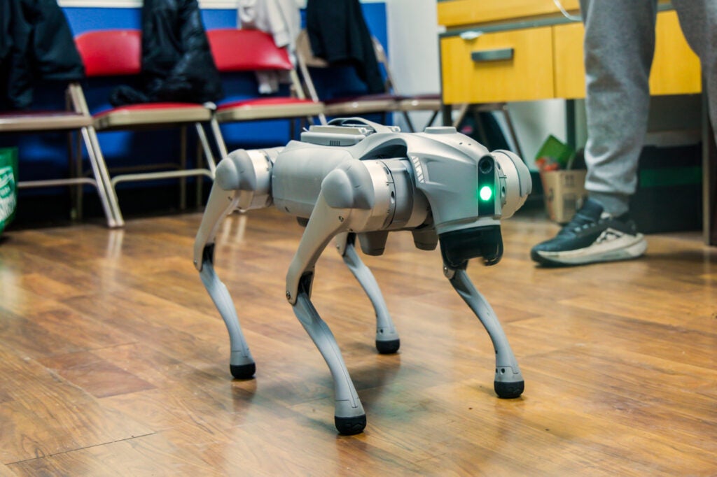 One of the robotic dogs