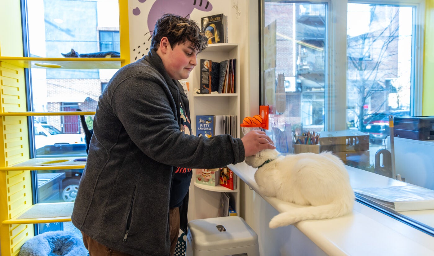 Jeremy Kaplan-Mayer pets Walter White the cat at Get a Gato cat cafe in South Philadelphia