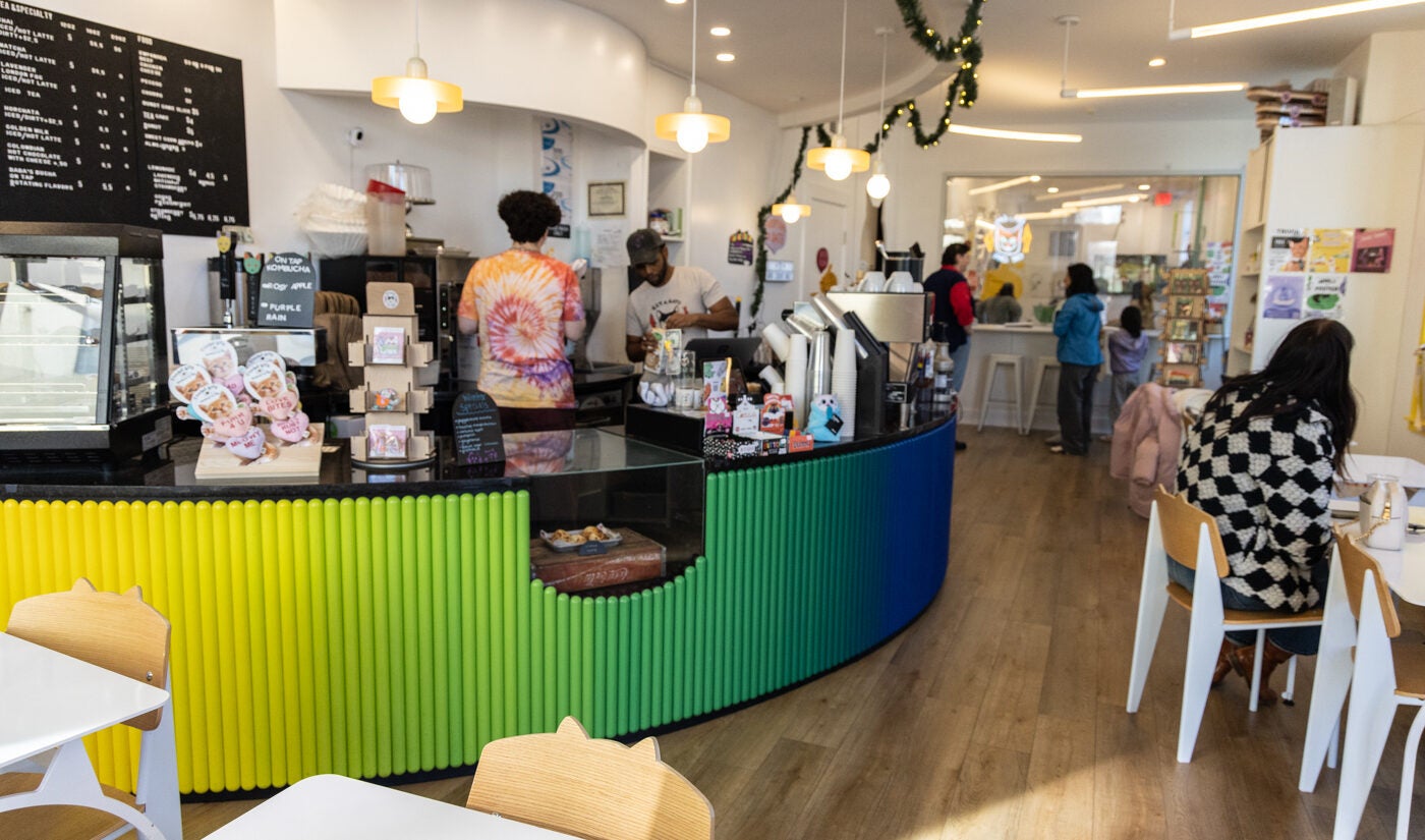 A cafe bar with tables and chairs is seen at Get a Gato cat cafe in South Philly