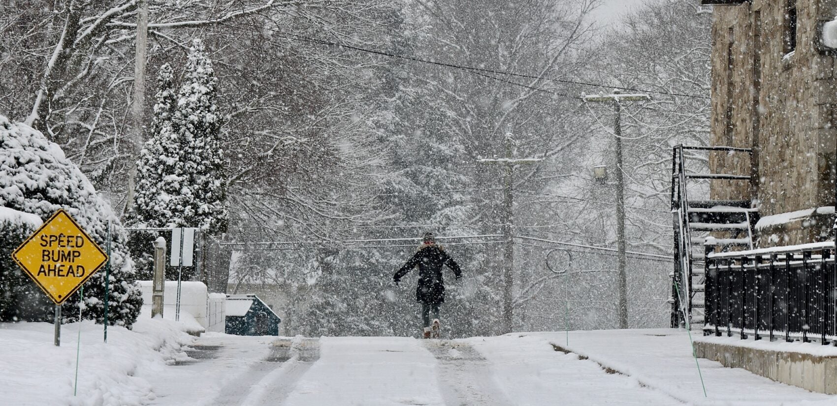 Heavy, wet snow