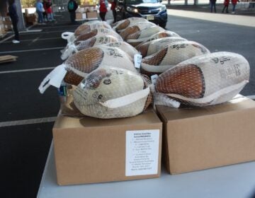 Thanksgiving turkeys lined up on top of boxes