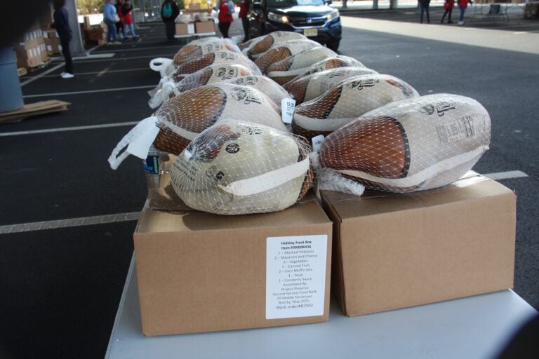 Thanksgiving turkeys lined up on top of boxes