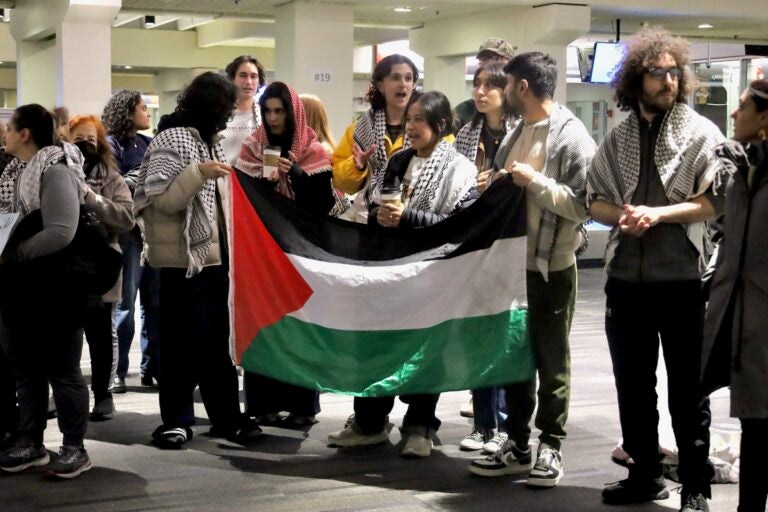 A group of people holding up a Palestinian flag