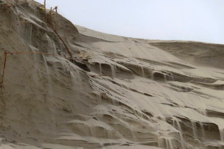 Sand cascades down the badly eroded face of a dune in North Wildwood, N.J. on Feb. 24, 2023. (AP Photo/Wayne Parry, FILE)