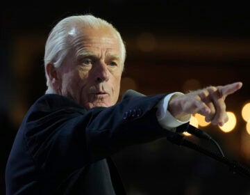 FILE - Peter Navarro speaks during the Republican National Convention, July 17, 2024, in Milwaukee. (AP Photo/Paul Sancya, File)