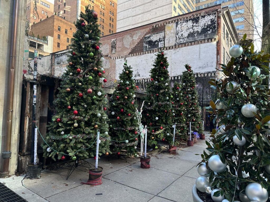 Christmas trees on the street