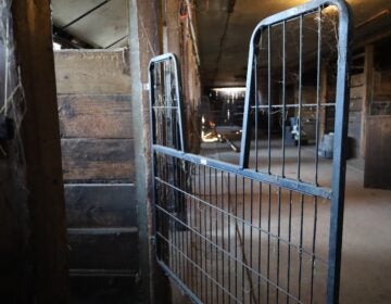 a gate inside the barn