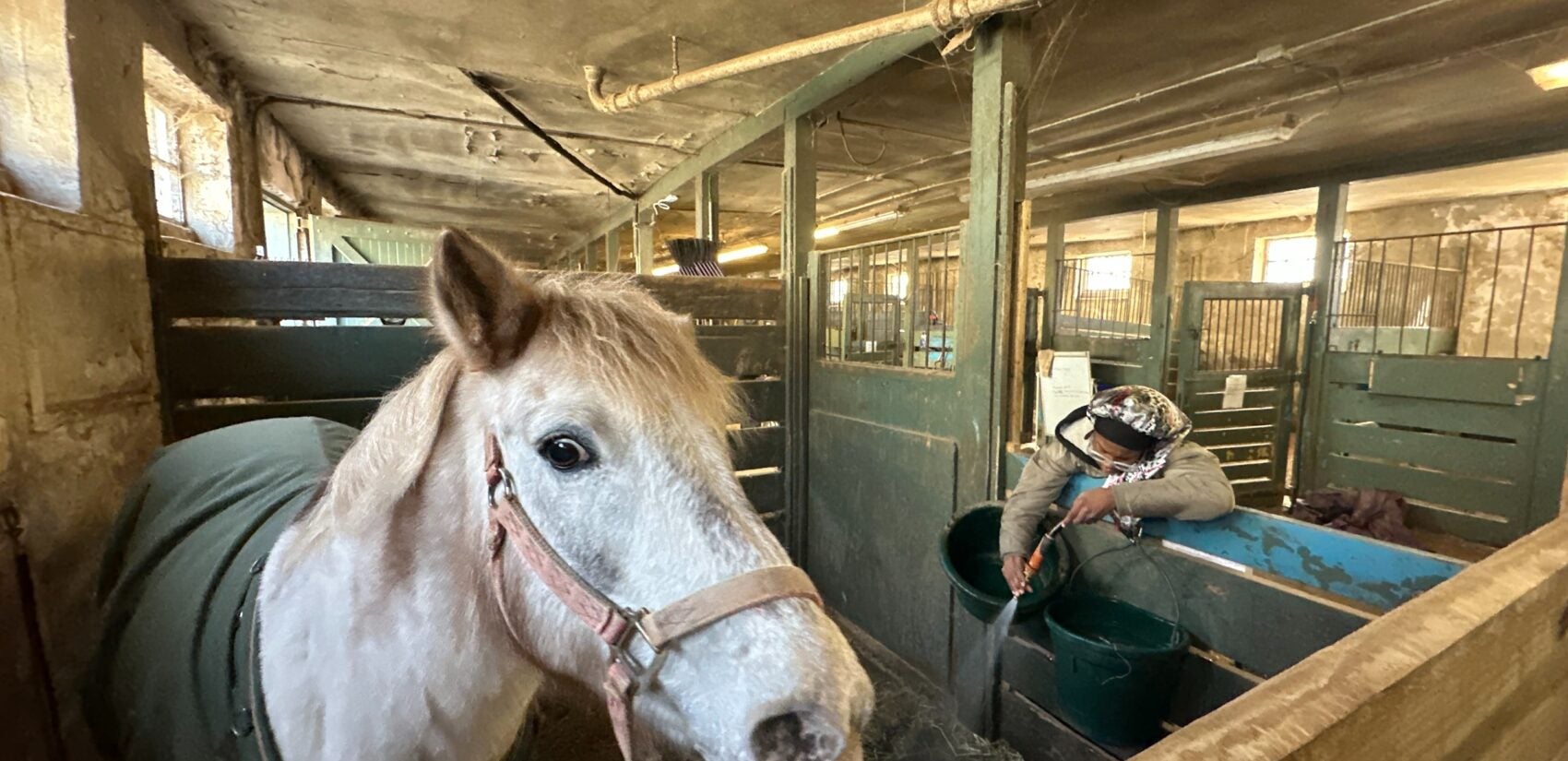 Payton Williams spraying near a horse