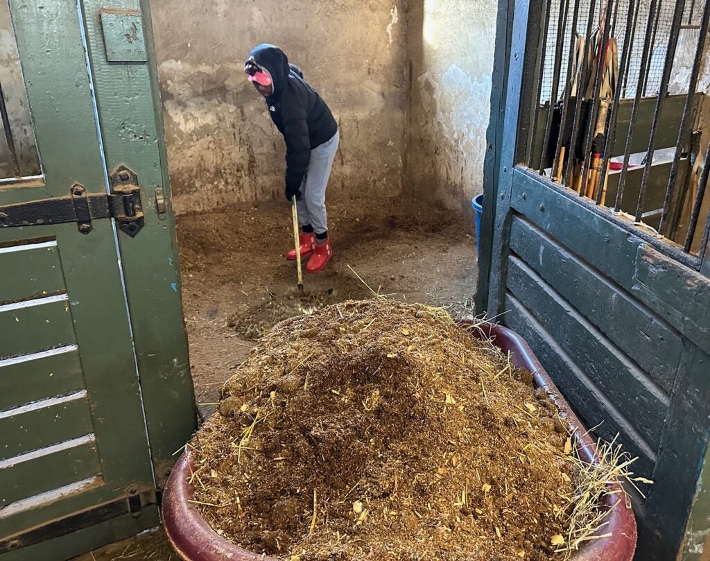 Jordan Floyd cleaning a stall