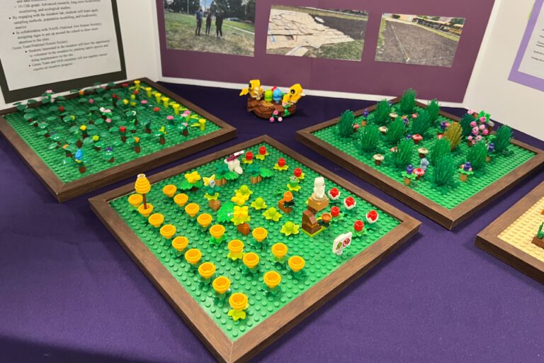 A representation of the meadow lab made from Legos.