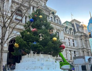 a tree with decorations at City Hall