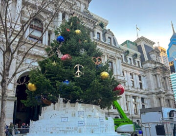 Christmas tree set up in front of City Hall