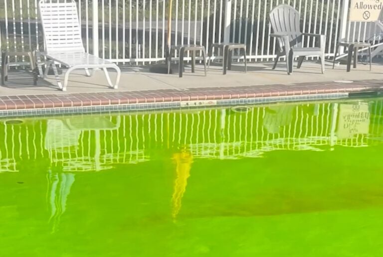 a pool dyed green