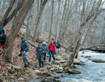 First Day Hikes in 2024