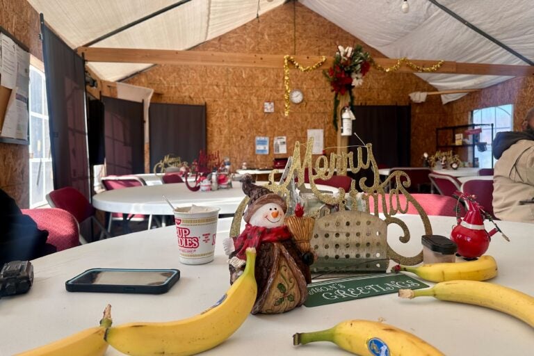 a table inside the tent with a decorative snowman and bananas