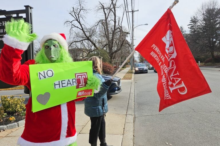 Someone dressed as The Grinch at the protest