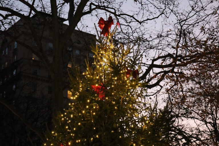 A Christmas tree shines with lights in Philadelphia