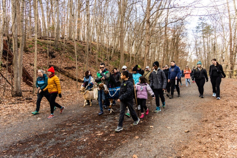 New Year's Day walk with The Philly Goat Project