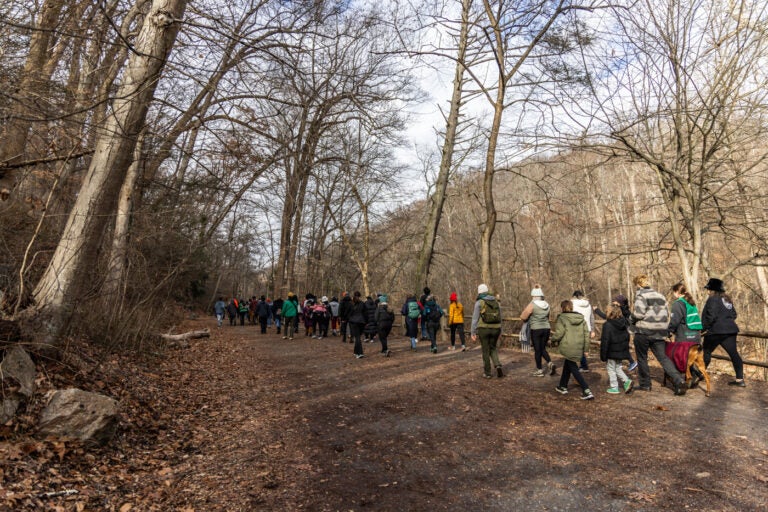 Participants in New Year’s Day goat walk