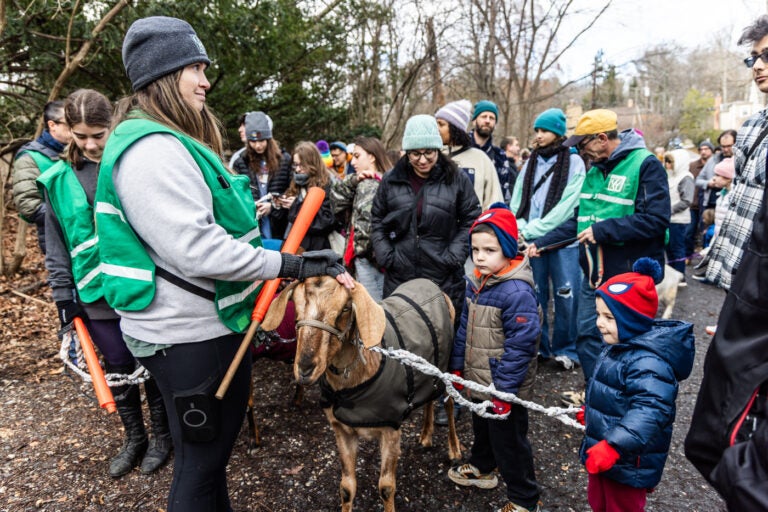 Philly Goat Project rings in the new year