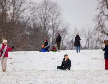 children sledding down a snowy hill