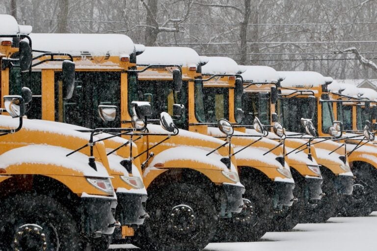 Snow-covered school buses