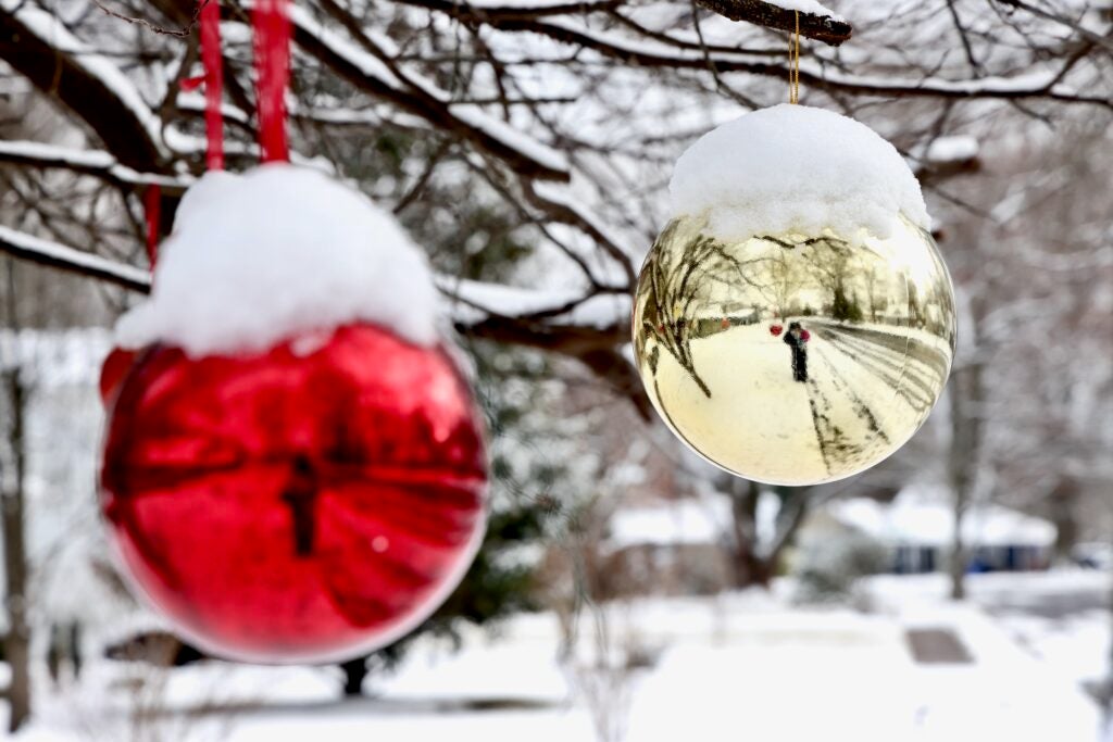 Christmas ornaments hanging on a tree outdoors, covered in snow