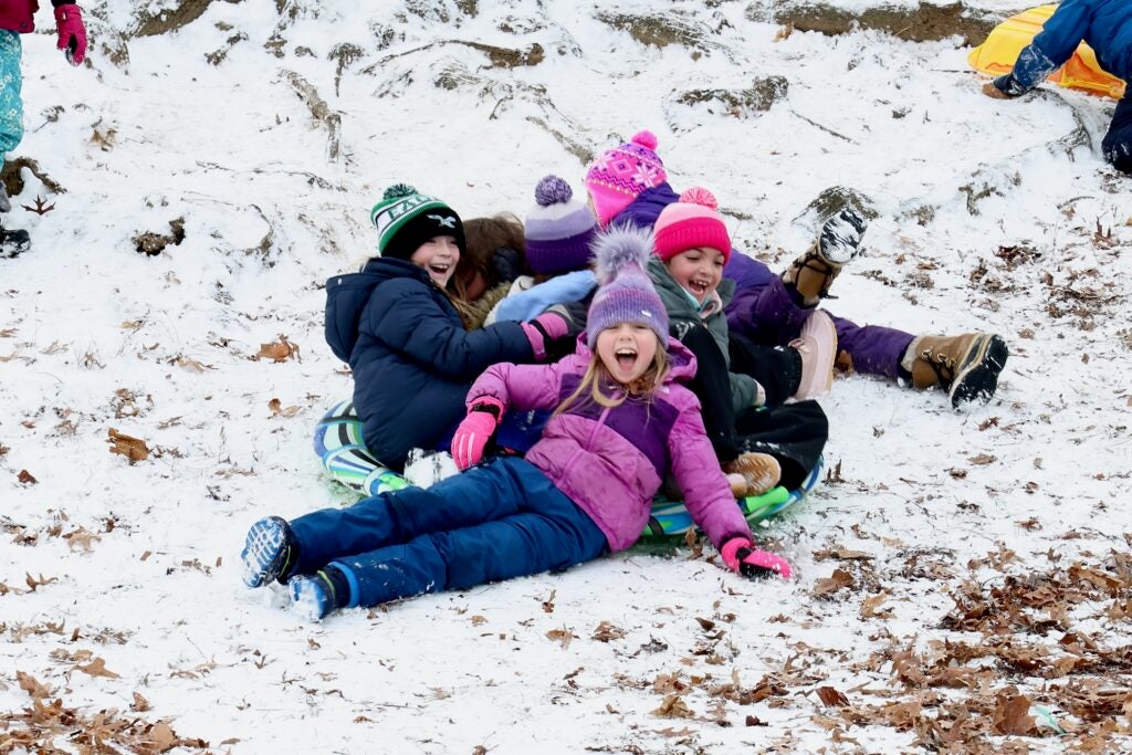 A group of children playing in the snow on sleds