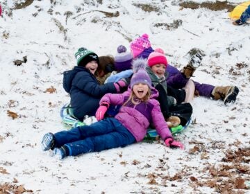 A group of children playing in the snow on sleds