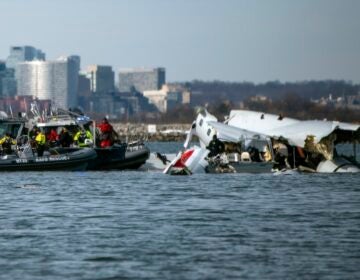 wreckage from the plane crash in the river