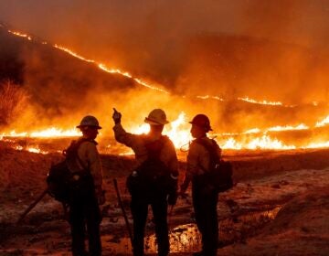 Fire crews battle the Kenneth Fire