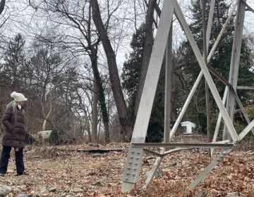 Lisa Wilson Riblett looks at the base of a tower