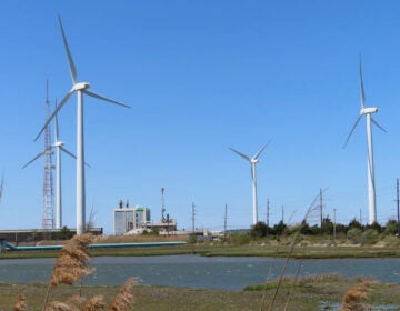 Windmills across a field in Atlantic City, New Jersey