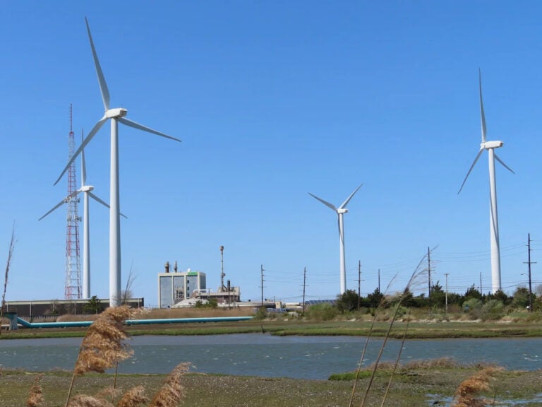 Windmills across a field in Atlantic City, New Jersey