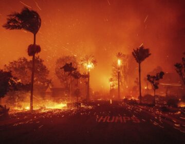 The Palisades Fire ravages a neighborhood