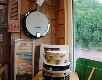 Instruments at Bucks County Folk Music Shop