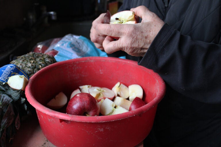 Helga Tacreiter prepares apples for some of the pigs' lunch. A nearby supermarket donates fresh produce that Tacreiter picks up each day to feed to the animals. (Emily Neil/WHYY)
