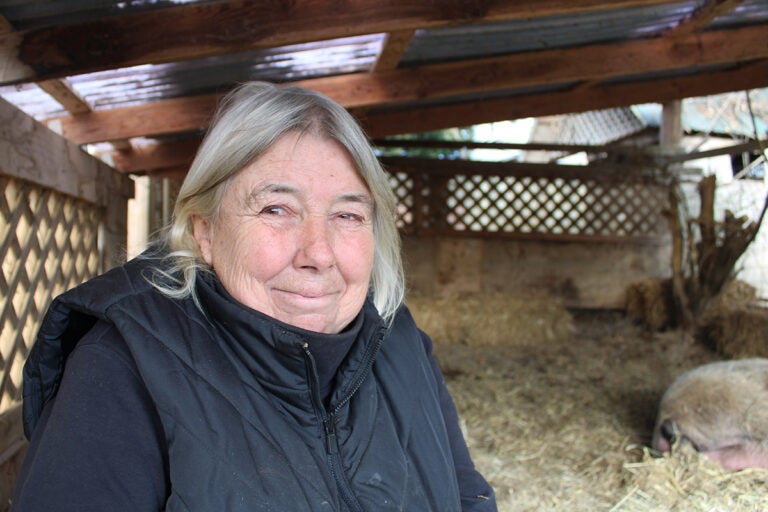 Helga Tacreiter said that over the past several decades, The Cow Sanctuary has gained support through donations to continue the work that she does. (Emily Neil/WHYY)